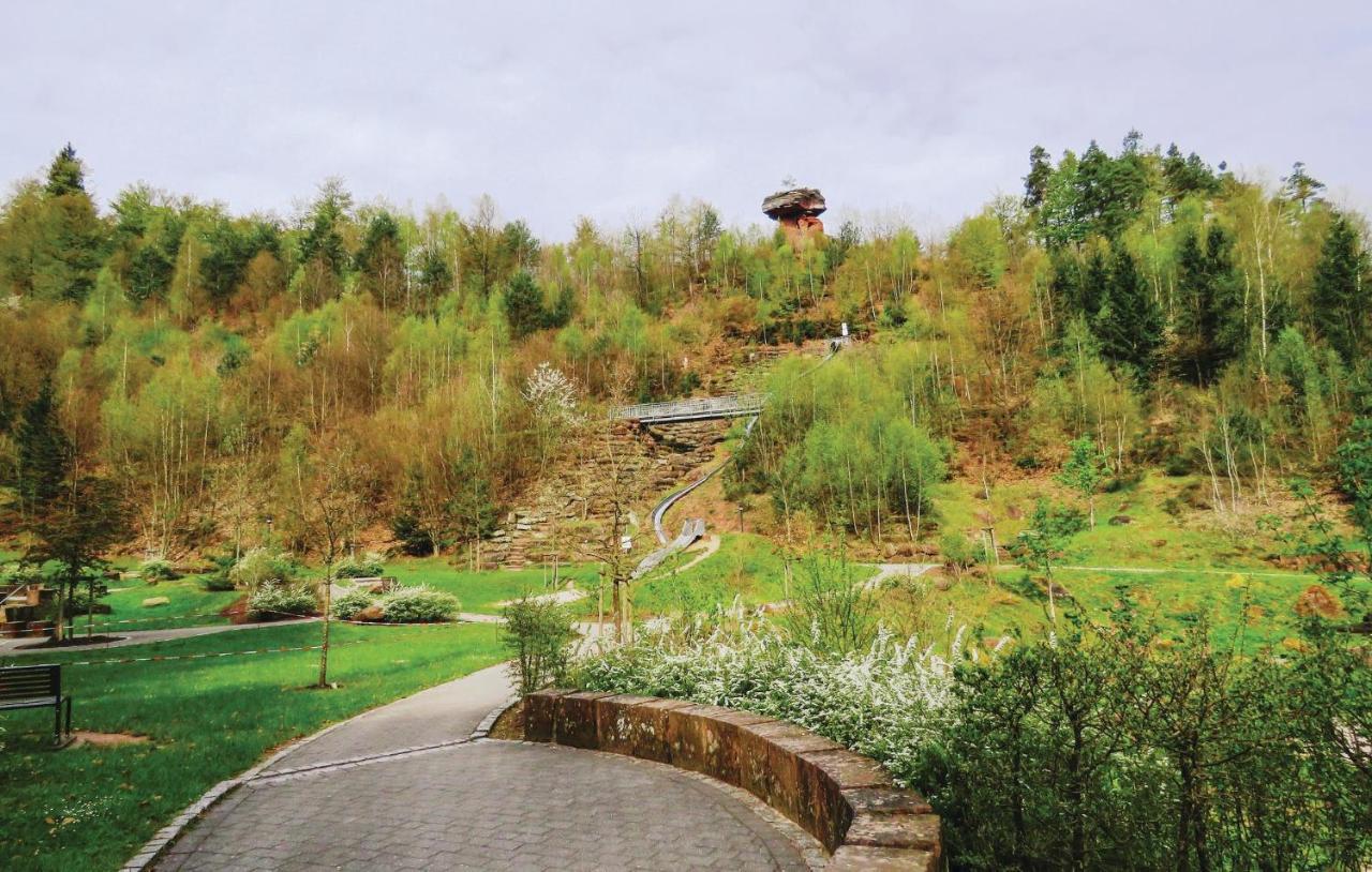 Cozy Apartment In Hinterweidenthal With Sauna מראה חיצוני תמונה
